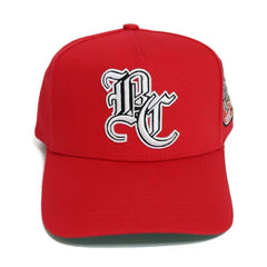 Crown Series Snapback Hat
